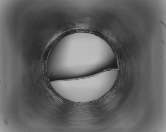 X0000097821208200803140758