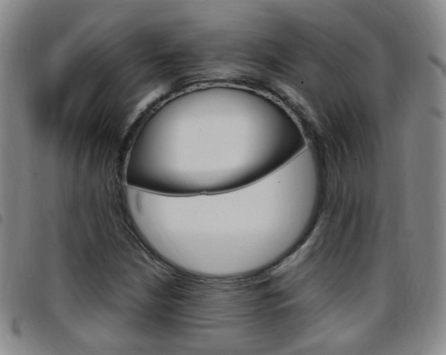 X0000097821210200803140758