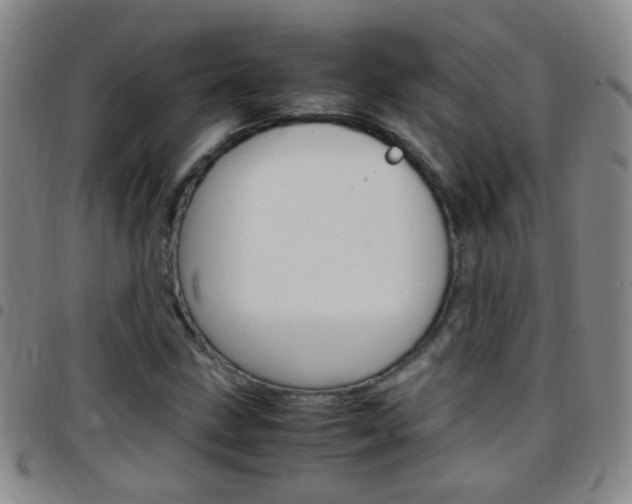 X0000097821211200803140758