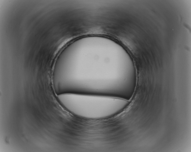 X0000097821212200803140758