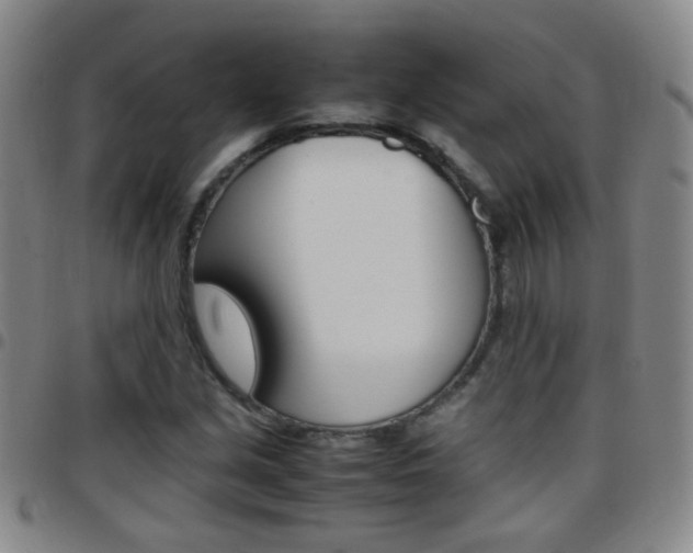 X0000097821213200803140758