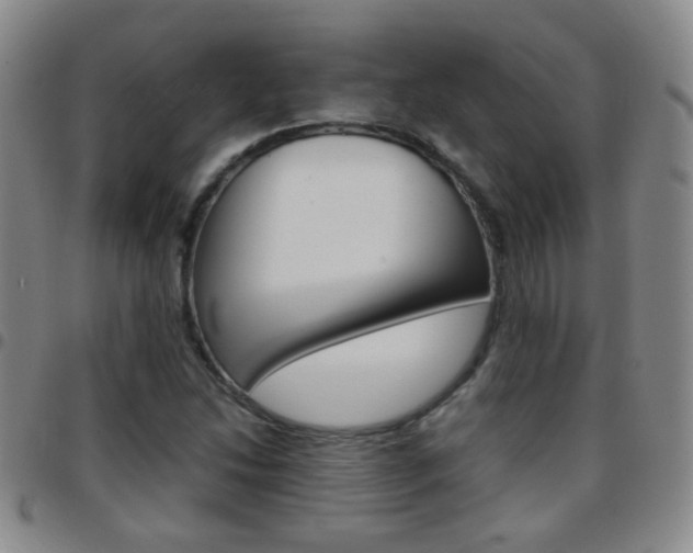 X0000097821214200803140758