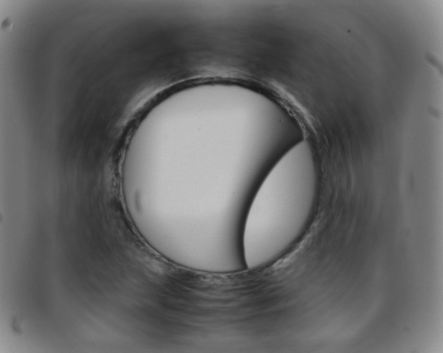 X0000097821215200803140758