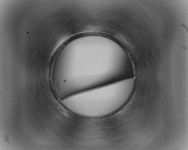 X0000097821216200803140758