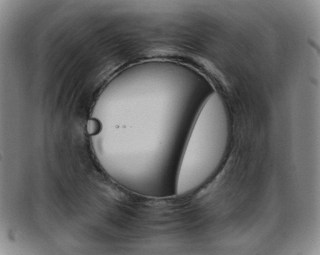 X0000097821217200803140758