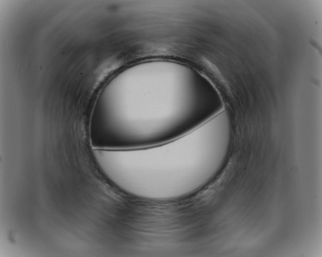 X0000097821218200803140758
