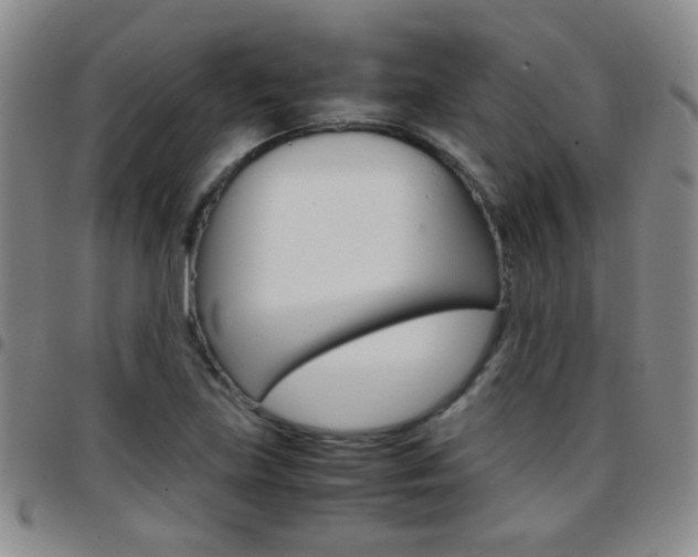 X0000097821219200803140758