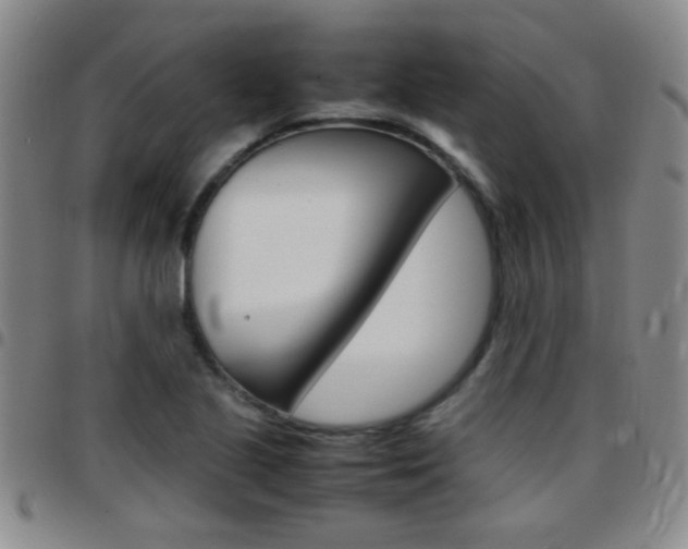 X0000097821221200803140758