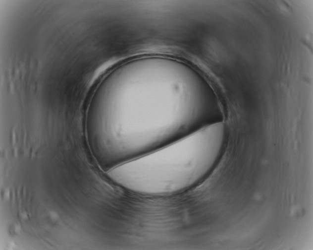 X0000097821222200803140758
