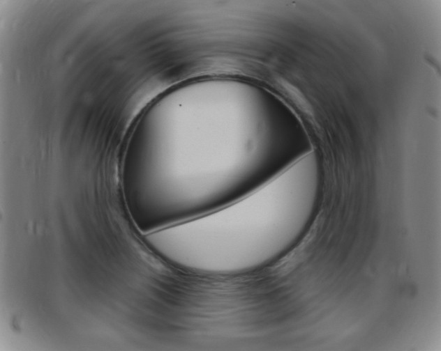 X0000097821226200803140758