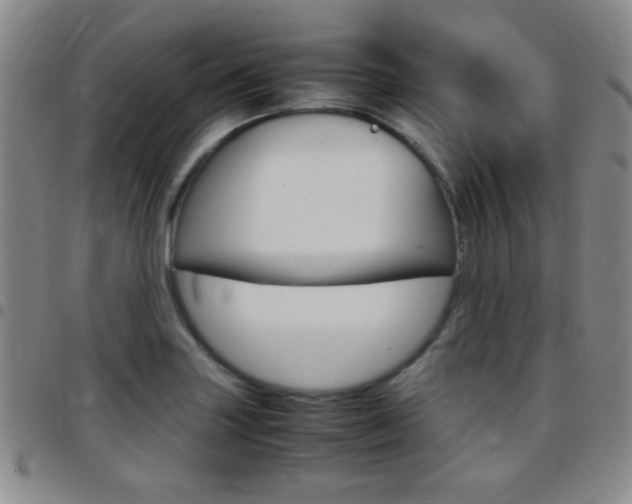 X0000097821227200803140758