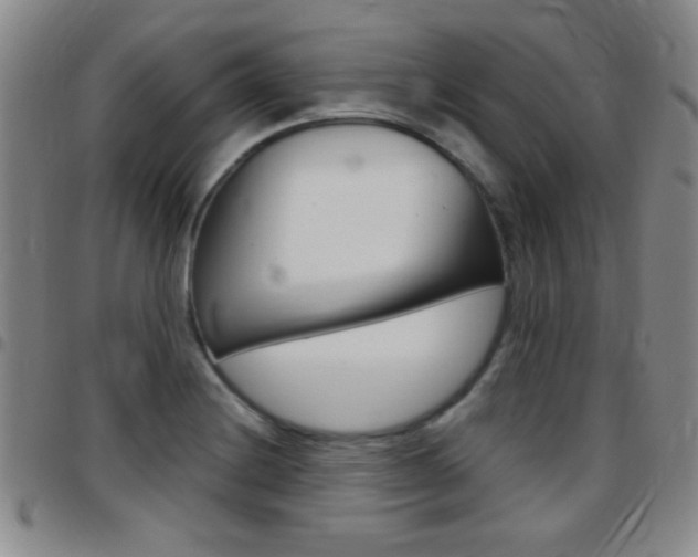 X0000097821228200803140758