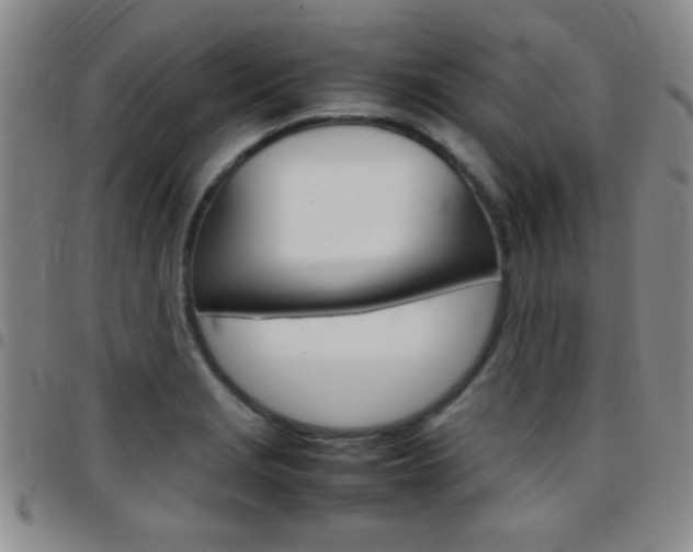X0000097821229200803140758
