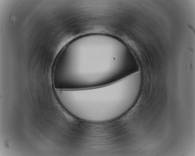 X0000097821230200803140758