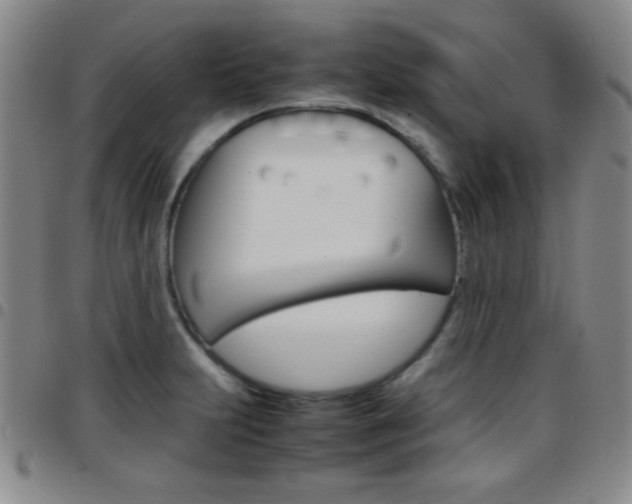 X0000097821231200803140758
