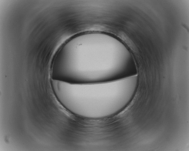 X0000097821232200803140758
