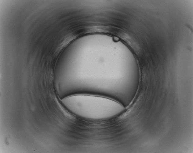 X0000097821233200803140758