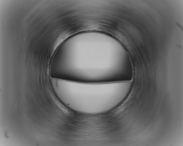 X0000097821234200803140758