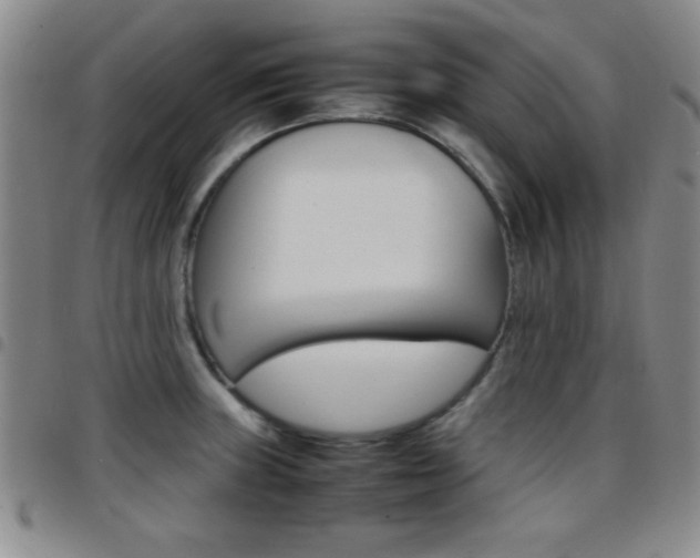 X0000097821235200803140758