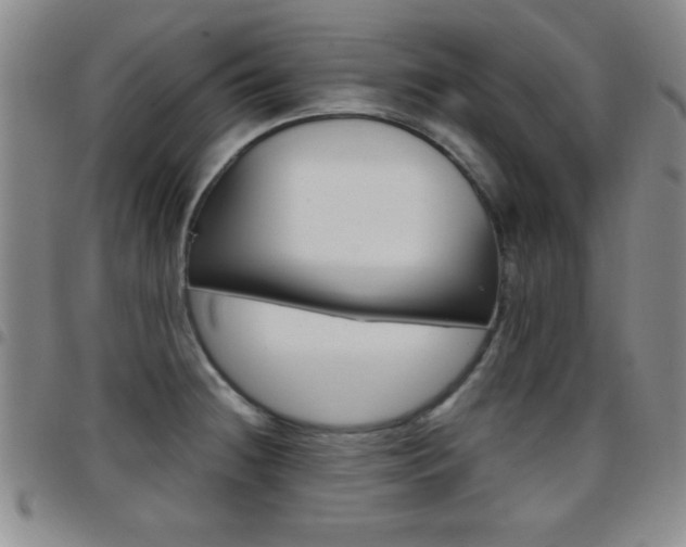 X0000097821236200803140758
