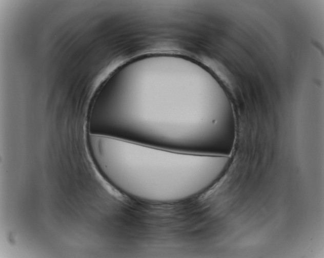 X0000097821237200803140758