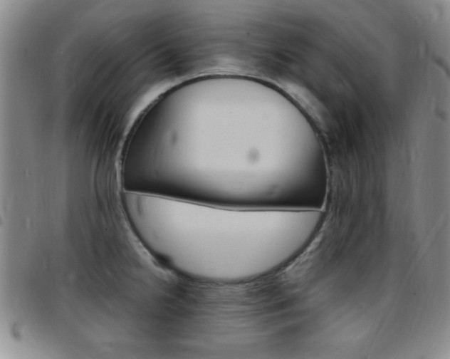 X0000097821238200803140758