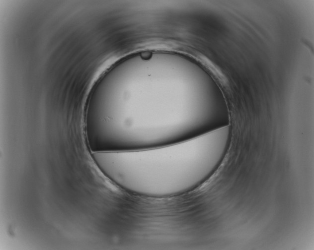 X0000097821240200803140759