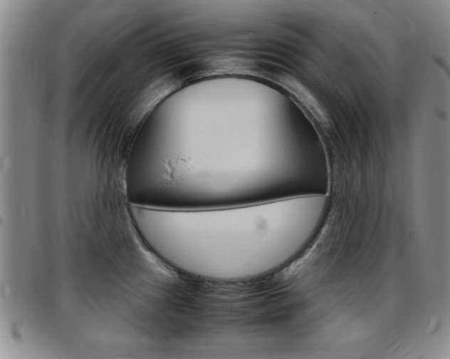 X0000097821241200803140759