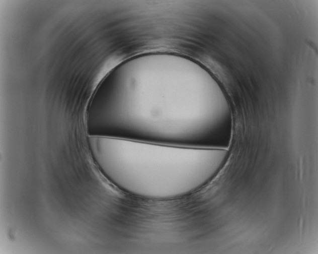 X0000097821242200803140759