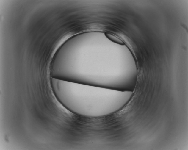 X0000097821243200803140759