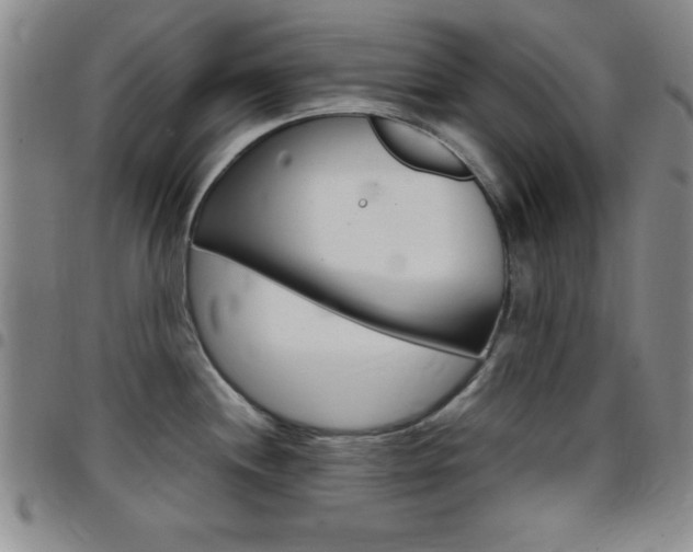 X0000097821244200803140759