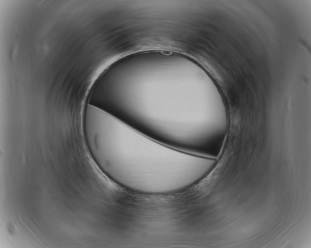 X0000097821246200803140759