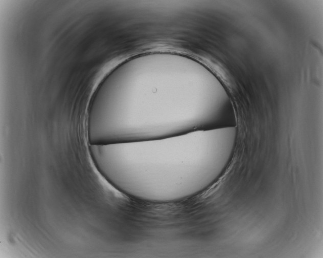 X0000097821247200803140759
