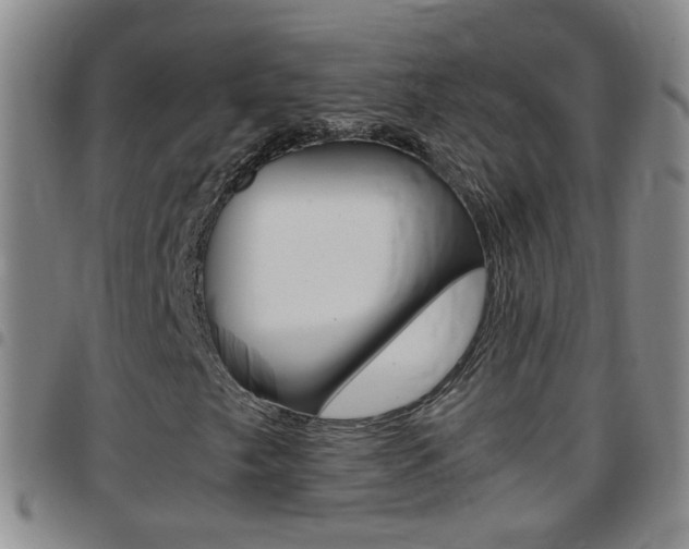 X0000097821249200803140758
