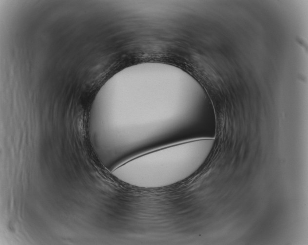 X0000097821250200803140758
