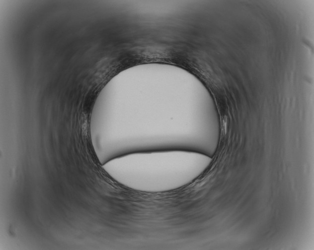 X0000097821251200803140758