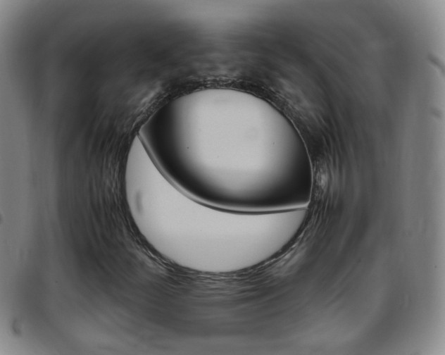 X0000097821252200803140758