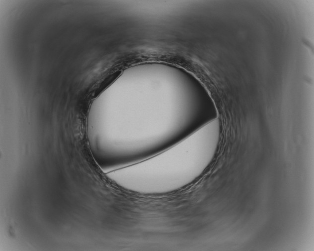 X0000097821253200803140758