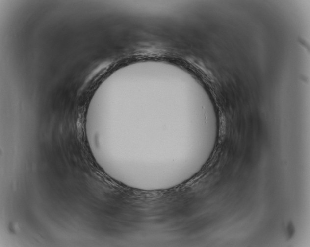 X0000097821254200803140758