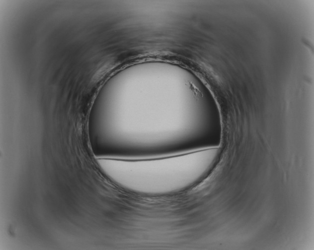 X0000097821257200803140758