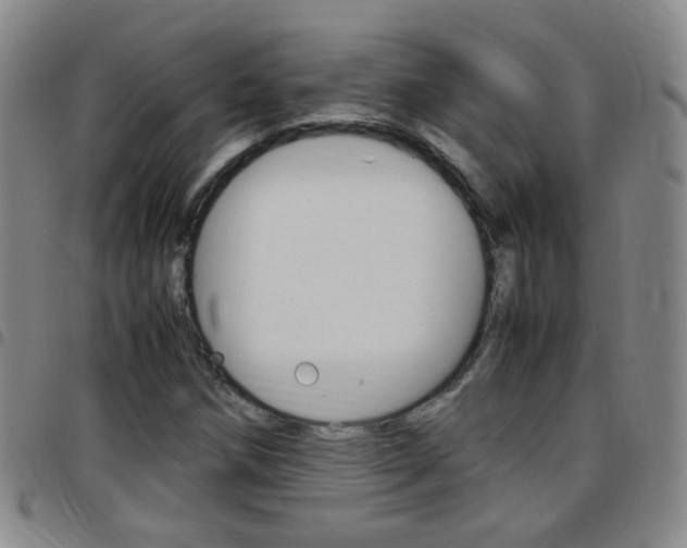 X0000097821258200803140758