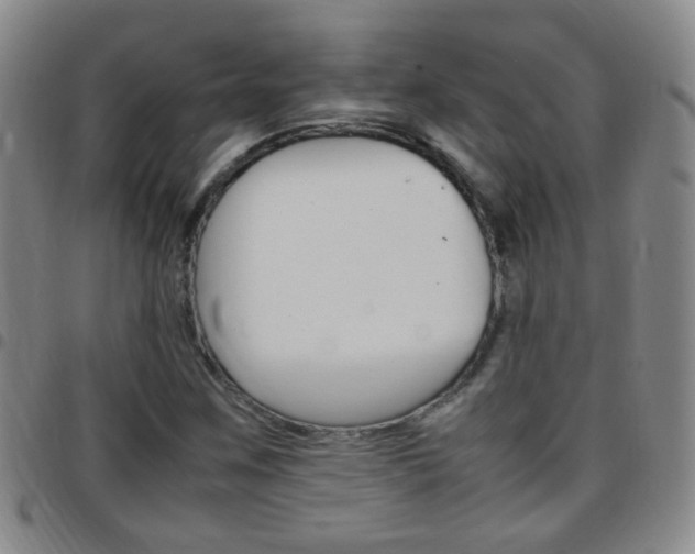 X0000097821259200803140758