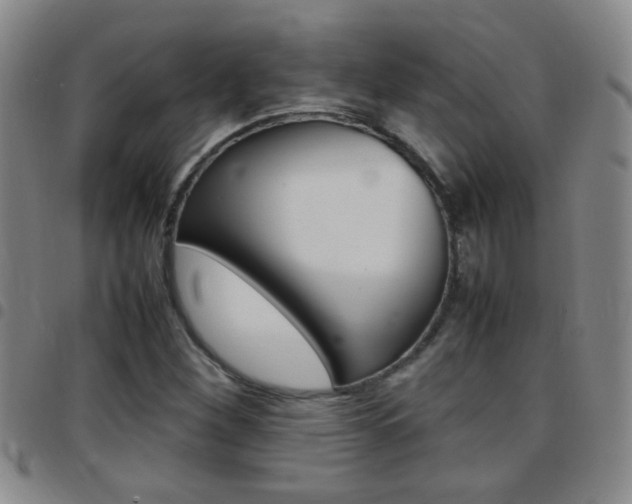 X0000097821260200803140758