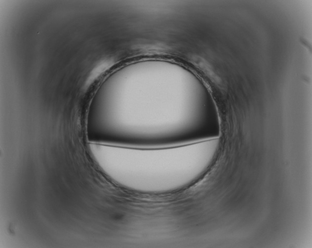 X0000097821261200803140758