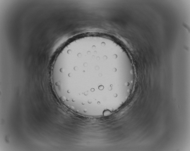 X0000097821263200803140758