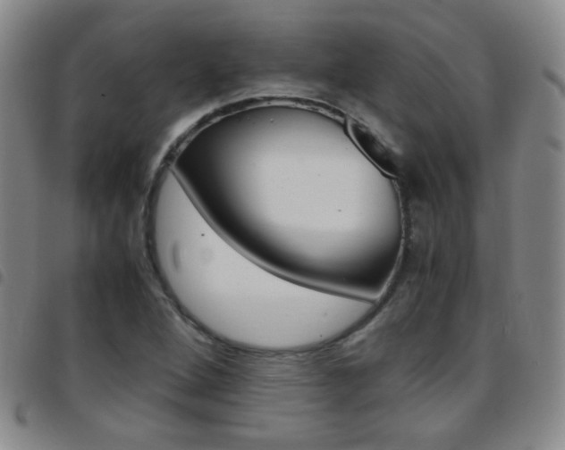 X0000097821264200803140758