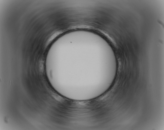 X0000097821266200803140758