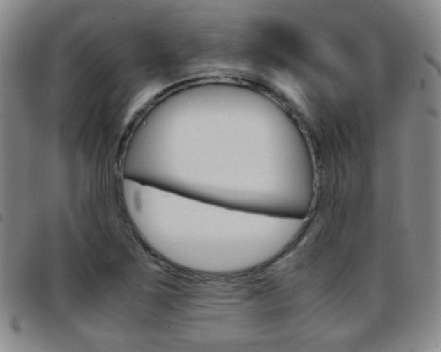 X0000097821267200803140758
