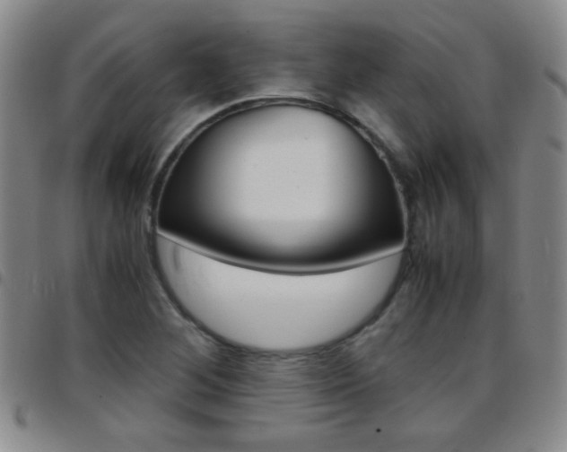 X0000097821268200803140758