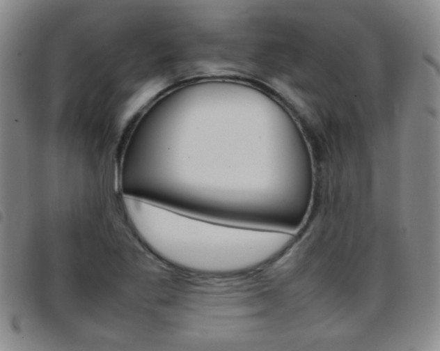 X0000097821269200803140758